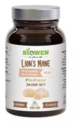 Lion’s Mane 400 mg (90 kaps.)