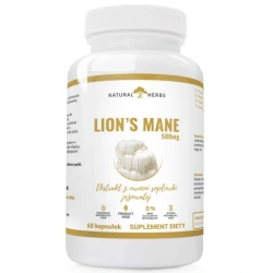 Natural Herbs Lion'S Mane 500 Mg Ekstrakt Z Owocni Soplówki Jeżowatej 60 kaps.
