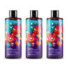 Zestaw: 3x Vianek Prebiotyczny szampon wzmacniający 300ml