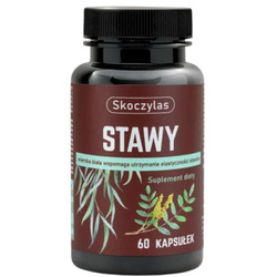 Skoczylas Stawy 60 kaps.