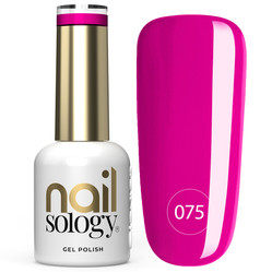 Nailsology lakier hybrydowy 075 Attention 8ml