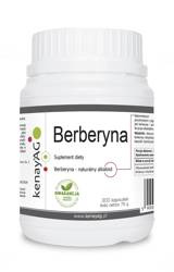 Berberyna (300 kaps.)