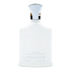 Silver Mountain Water woda perfumowana spray 100ml