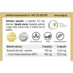 Yango Boswellia 65Tm 60 t Kadzidłowiec