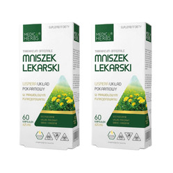 Zestaw 2x Medica Herbs Mniszek Lekarski 60 kaps.