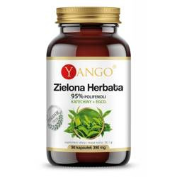 Zielona herbata 95% polifenoli - Katechiny + EGCG