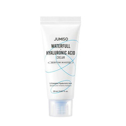 Waterfull Hyaluronic Acid Cream silnie nawilżający krem do twarzy z kwasem hialuronowym 20ml