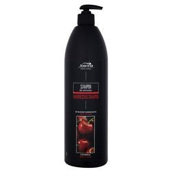 UV Filter Protective Hair Shampoo szampon ochronny do włosów farbowanych 1000ml
