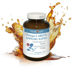 Norsan Omega-3 ARKTIS kwasy tłuszczowe omega-3 DHA 120 kaps.