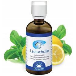 Dr Jacob's Lactocholin na wsparcie zdrowej wątroby 100 ml