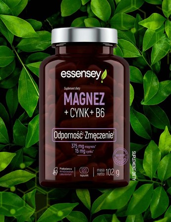 ESSENSEY MAGNEZ+CYNK+B6 120 kaps