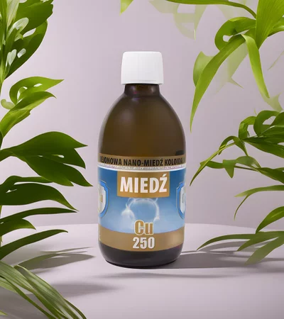 Pro Aktiv - Nano Miedź Koloidalna - 300 ml