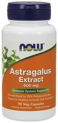 Astragalus Extract - Traganek 500 mg (90 kaps.)