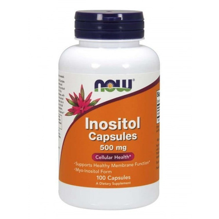 Inozytol 500 mg  (100 kaps.)