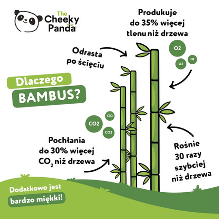Cheeky Panda, Chusteczki kosmetyczne uniwersalne, pudełko kostka 56 szt.
