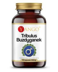 Yango Tribulus Buzdyganek ekstrakt 10:1 z owoców buzdyganka naziemnego 90 kaps.