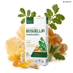 Medica Herbs Boswellia Kadzidłowiec 350mg na wsparcie stawów 60 kaps.