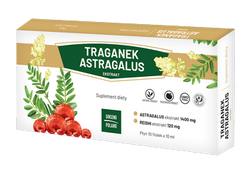Traganek Astragalus ekstrakt 10x10ml (fiolki) GINSENG POLAND