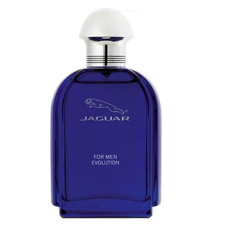Evolution Men woda toaletowa spray 100ml