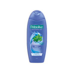 Szampon do włosów przeciwłupieżowy Dzika Mięta 350 ml