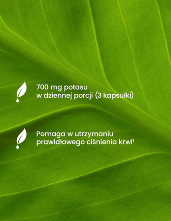 ESSENSEY POTAS CYTRYNIAN 90 kaps