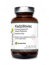 Kadzidłowiec Casperome® Indena Phytosome - ekstrakt (60 kaps.)