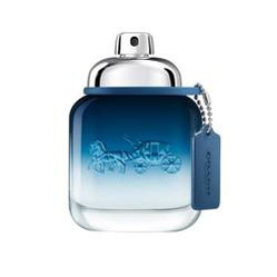 Blue woda toaletowa spray 40ml
