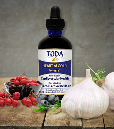 Toda - Heart Of Gold Formul, krople - 120ml