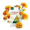 Medica Herbs Luteina + Zeaksantyna 80 kaps.