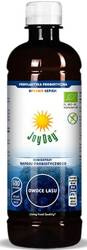 Joy Day EKO Koncentrat Owoce Lasu 500 ml