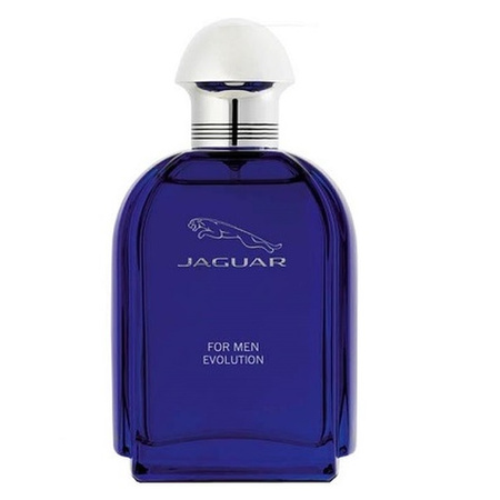 Evolution Men woda toaletowa spray 100ml