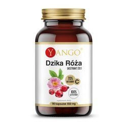 Dzika Róża - ekstrakt (90 kaps.)