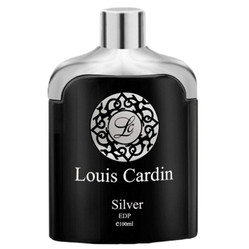 Silver Homme woda perfumowana spray 100ml