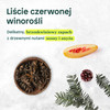 Attitude SUPER LEAVES™, Odżywka do włosów farbowanych, 240 ml