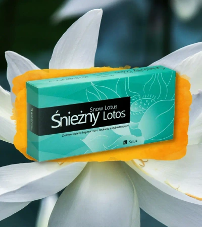 Śnieżny Lotos - Wkładki higieniczne - 6 szt.