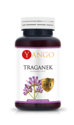 Astragalus - Traganek (100 kaps.)
