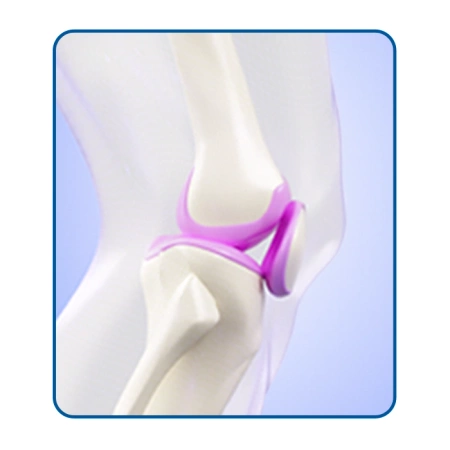 Oleofarm Collaflex SHOT 13000 mg kolagen w płynie na wsparcie stawów i kości 25 ml x 20 szt.
