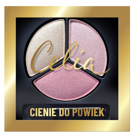 Cienie do powiek 251 4g