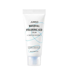 Waterfull Hyaluronic Acid Cream silnie nawilżający krem do twarzy z kwasem hialuronowym 20ml