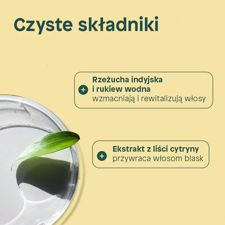 Attitude SUPER LEAVES™, Odżywka oczyszczająca, 240 ml