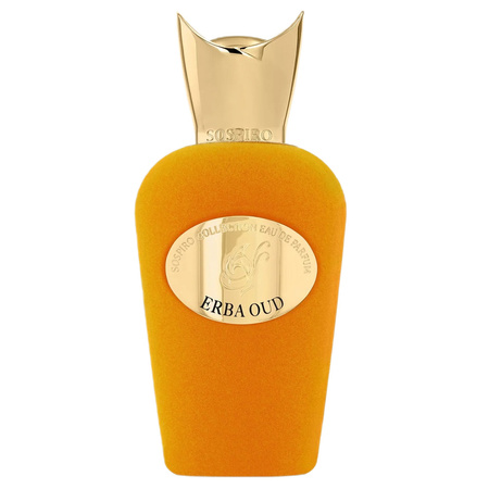 Erba Oud woda perfumowana spray 100ml