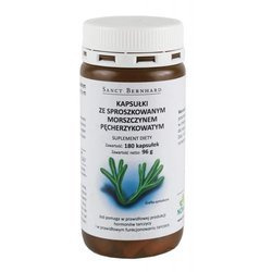 Morszczyn Pęcherzykowaty (180 kaps.)