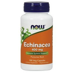 Now - Echinacea root - 100 kaps
