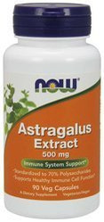Astragalus Extract - Traganek 500 mg (90 kaps.)